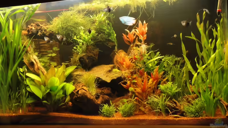 Ansicht Wohnzimmer Ansicht Wohnzimmer