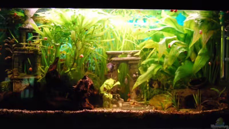 Antike Stadt im August Antike Stadt im August