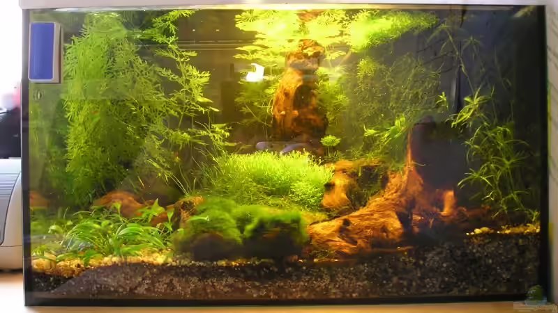 April 2007 April 2007