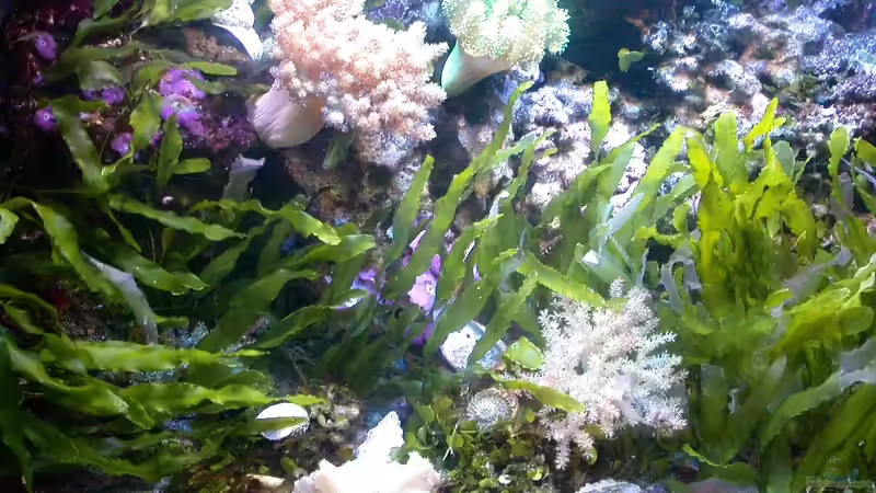 April 2010 April 2010