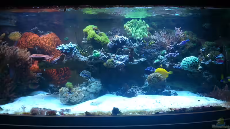 April 2013 (nach Umbau) April 2013 (nach Umbau)