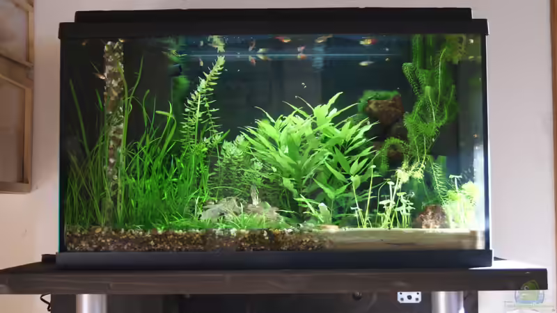 April 2013 April 2013