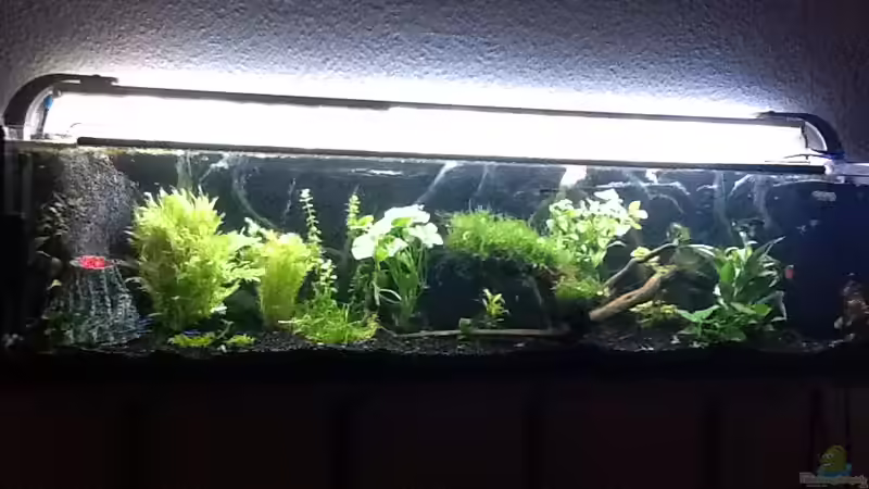 AQ 25.07.11 (1) AQ 25.07.11 (1)