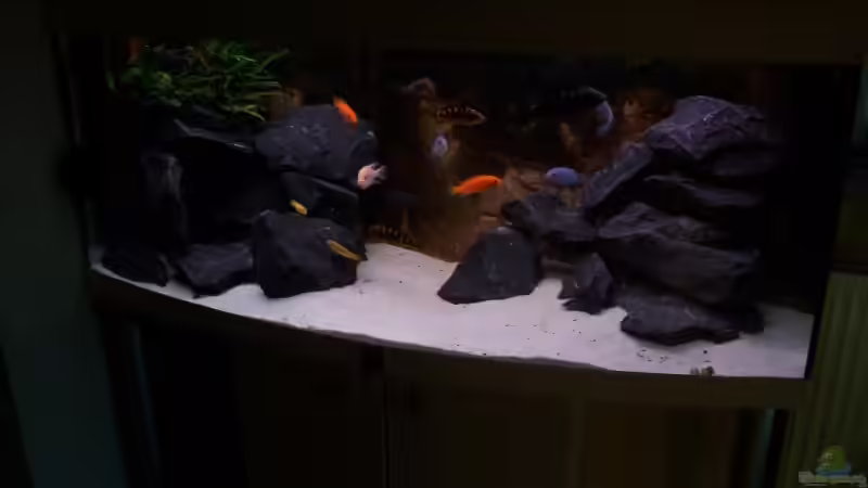 AQ Abends Frontansicht AQ Abends Frontansicht