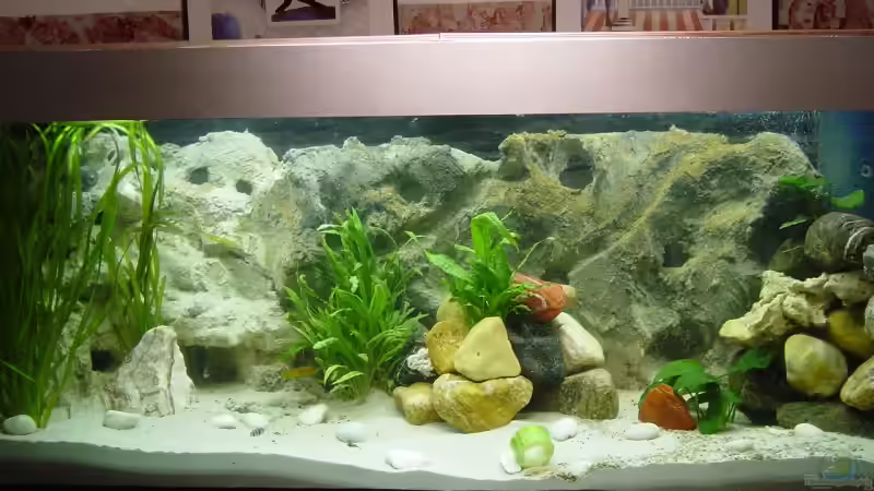 AQ Becken mit Unterschrank Eigenbau AQ Becken mit Unterschrank Eigenbau