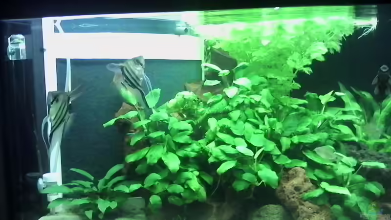 AQ nach Einlaufzeit AQ nach Einlaufzeit