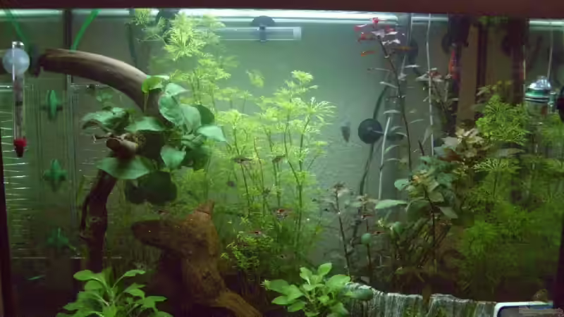 AQ nach Umbau AQ nach Umbau