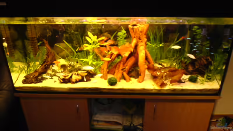 AQ vom 12.02.2010 AQ vom 12.02.2010