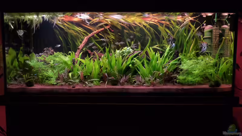 Aqualux Exklusiv 450L Aqualux Exklusiv 450L