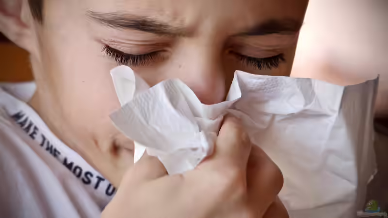 Aquarien als Auslöser von Allergien