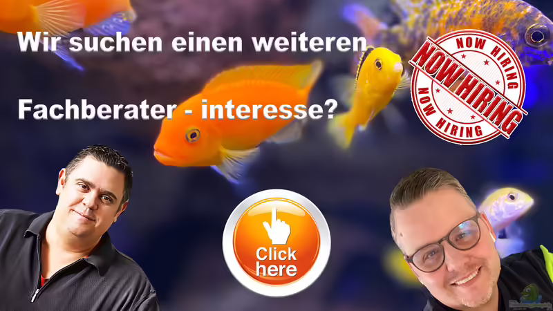 Aquarienkontor sucht Mitarbeiter im Vertrieb (m/w/d)