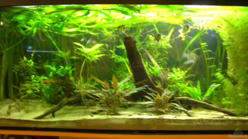 Aquarium - Gesamtansicht Aquarium - Gesamtansicht