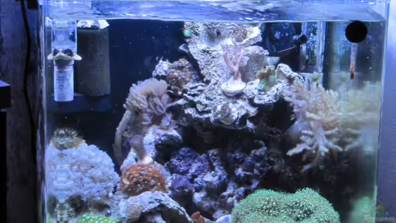 Aquarium --Littel Ozean-- Aquarium --Littel Ozean--