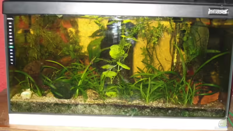 Aquarium 01.02.09 Aquarium 01.02.09