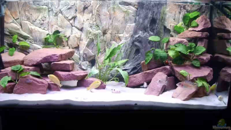 Aquarium 300 Liter Aquarium 300 Liter