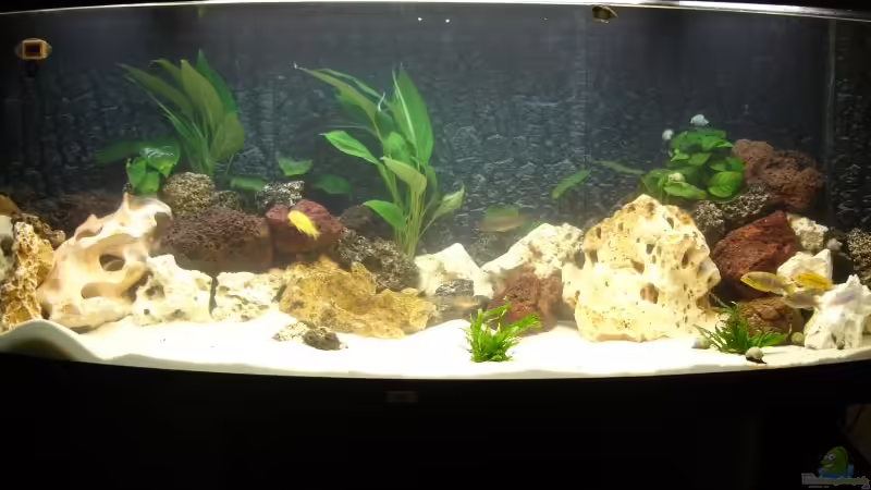 Aquarium am Tage Aquarium am Tage