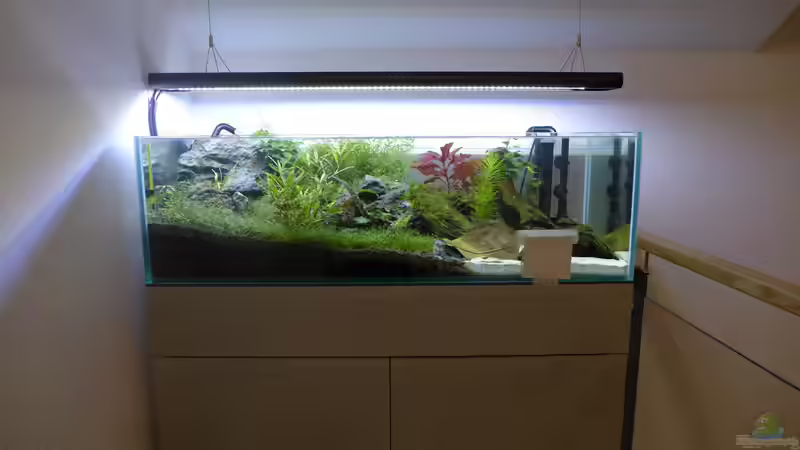 Aquarium Hauptansicht von 2nd floor Aquarium Hauptansicht von 2nd floor