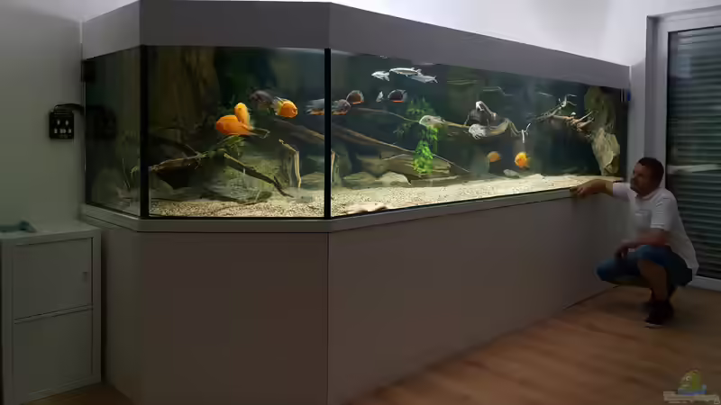 Aquarium Hauptansicht von 4.500l-Becken Aquarium Hauptansicht von 4.500l-Becken