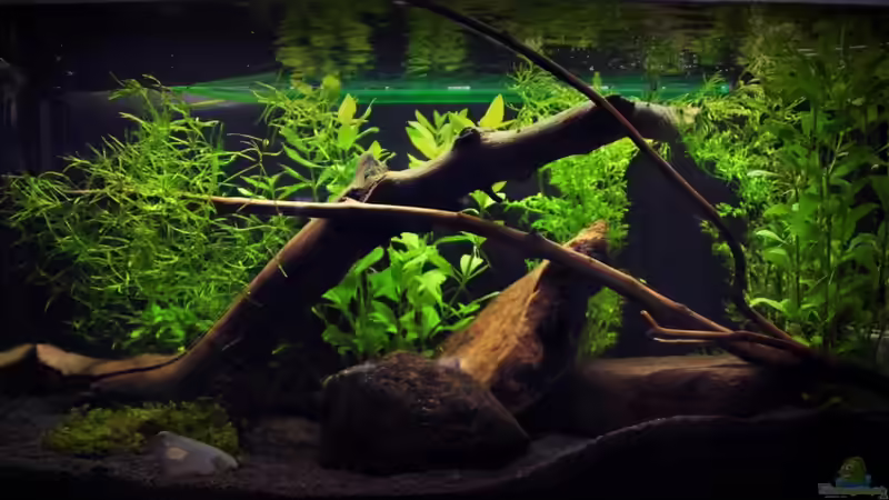 Aquarium Hauptansicht von a view to southeast asia Aquarium Hauptansicht von a view to southeast asia