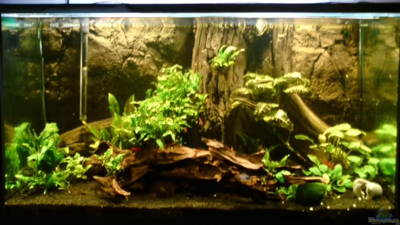 Aquarium Hauptansicht von Alles meins Aquarium Hauptansicht von Alles meins