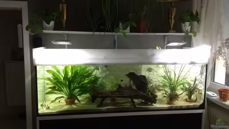 Aquarium Hauptansicht von ALTUMIA Aquarium Hauptansicht von ALTUMIA