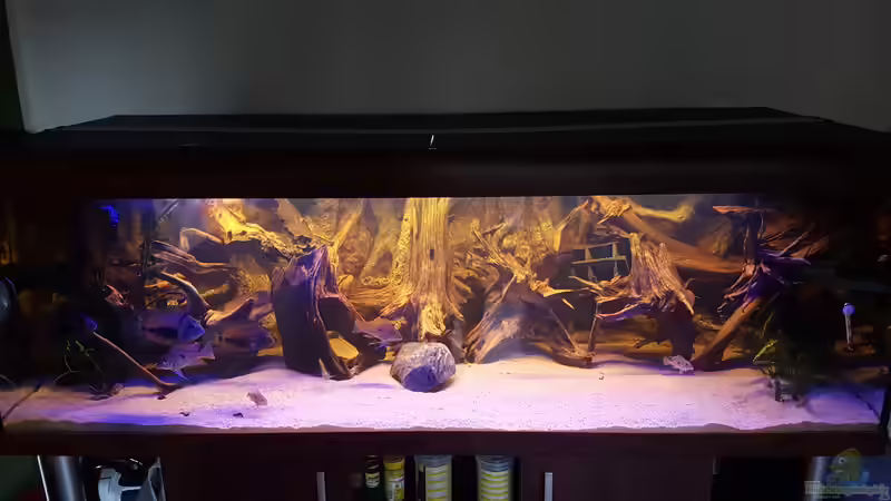 Aquarium Hauptansicht von Amazonas Biotop Aquarium Hauptansicht von Amazonas Biotop