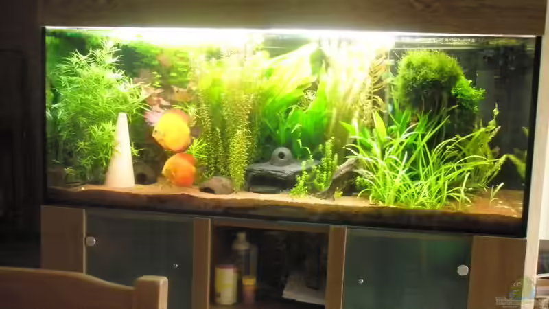 Aquarium Hauptansicht von Amazonas City Aquarium Hauptansicht von Amazonas City