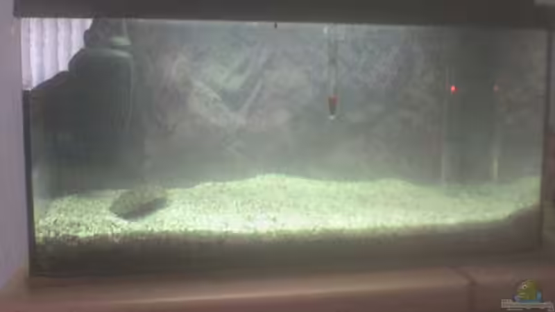 Aquarium Hauptansicht von aquastar 60 Aquarium Hauptansicht von aquastar 60