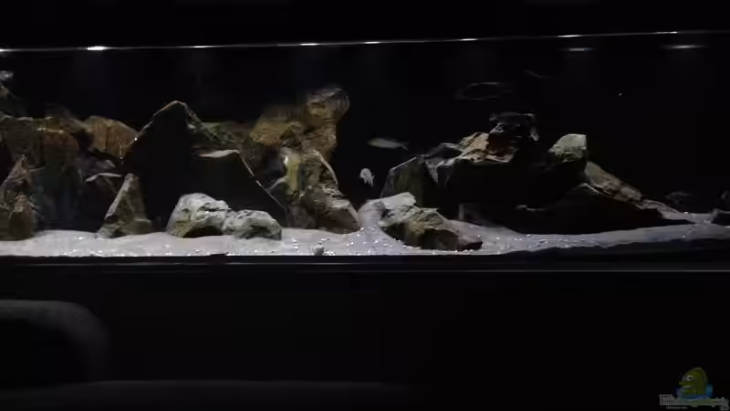 Aquarium Hauptansicht von aufgelöst ....the_HEART_of_ AFRICA..... Aquarium Hauptansicht von aufgelöst ....the_HEART_of_ AFRICA.....