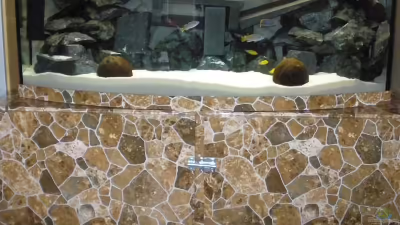 Aquarium Hauptansicht von Bandits Malawi Aquarium Hauptansicht von Bandits Malawi