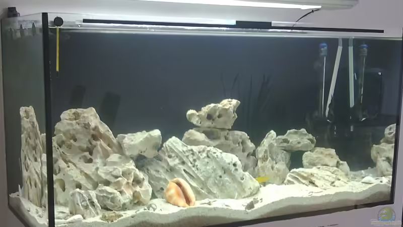 Aquarium Hauptansicht von Becken 10065 Aquarium Hauptansicht von Becken 10065