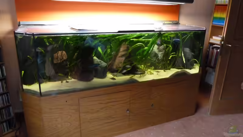 Aquarium Hauptansicht von Becken 10218 Aquarium Hauptansicht von Becken 10218