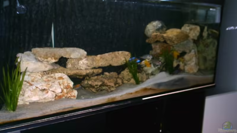 Aquarium Hauptansicht von Becken 1040 Aquarium Hauptansicht von Becken 1040