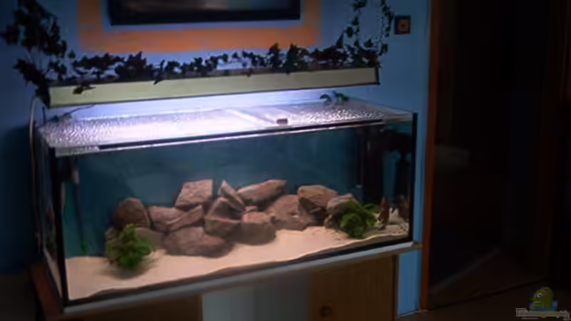 Aquarium Hauptansicht von Becken 1051 Aquarium Hauptansicht von Becken 1051