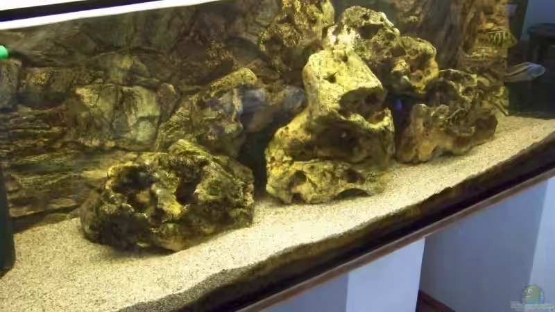 Aquarium Hauptansicht von Becken 10655 Aquarium Hauptansicht von Becken 10655