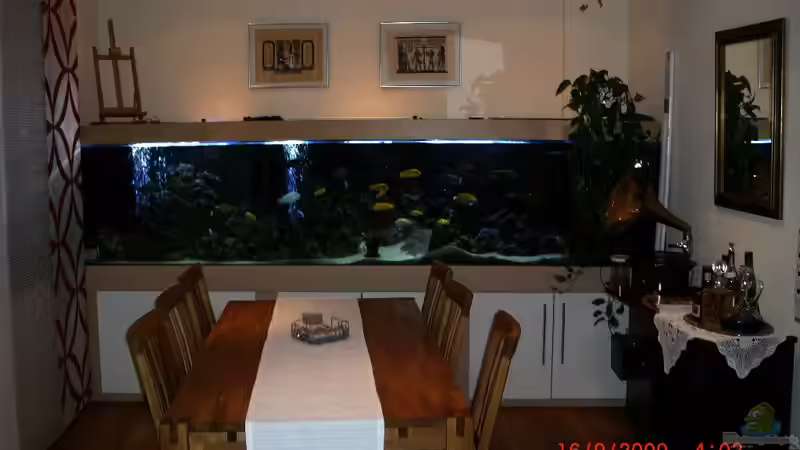 Aquarium Hauptansicht von Becken 1069 Aquarium Hauptansicht von Becken 1069