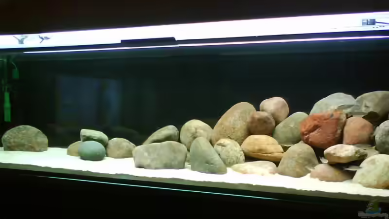 Aquarium Hauptansicht von Becken 10771 Aquarium Hauptansicht von Becken 10771