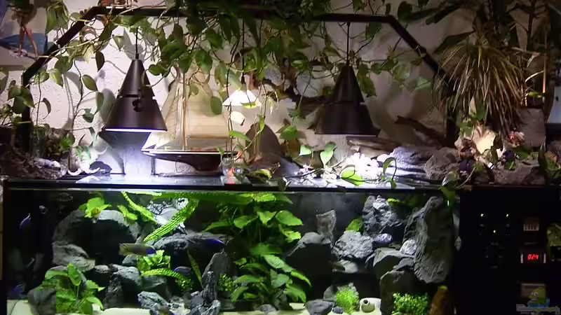 Aquarium Hauptansicht von Becken 112 Aquarium Hauptansicht von Becken 112