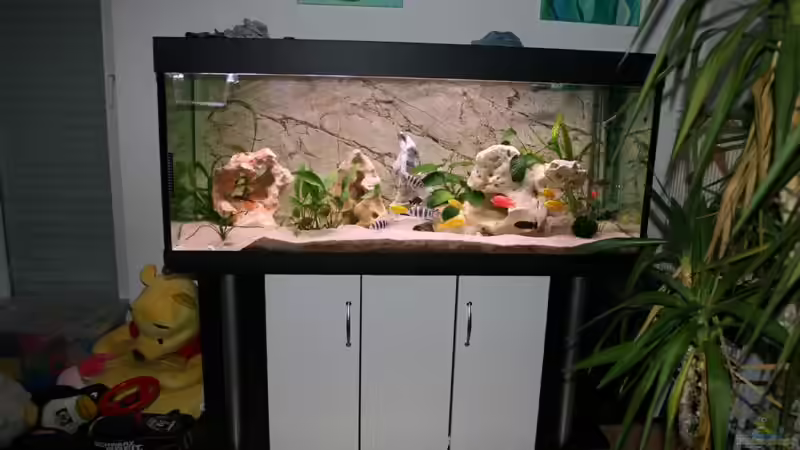 Aquarium Hauptansicht von Becken 11327 Aquarium Hauptansicht von Becken 11327