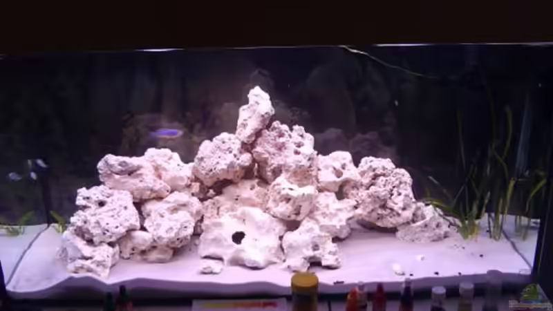 Aquarium Hauptansicht von Becken 11330 Aquarium Hauptansicht von Becken 11330