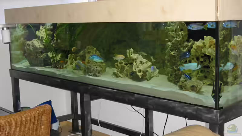 Aquarium Hauptansicht von Becken 114 Aquarium Hauptansicht von Becken 114