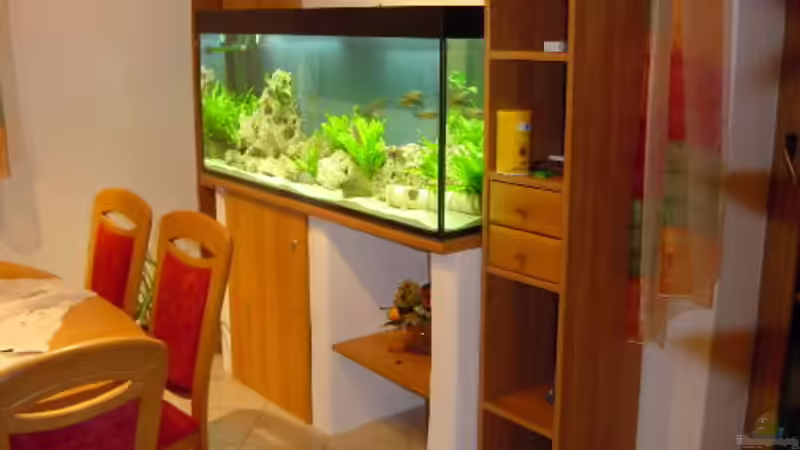 Aquarium Hauptansicht von Becken 116 Aquarium Hauptansicht von Becken 116