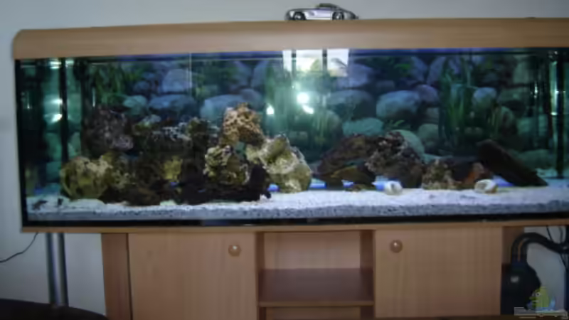 Aquarium Hauptansicht von Becken 1172 Aquarium Hauptansicht von Becken 1172