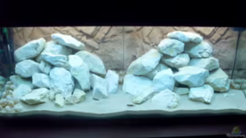 Aquarium Hauptansicht von Becken 11895 Aquarium Hauptansicht von Becken 11895