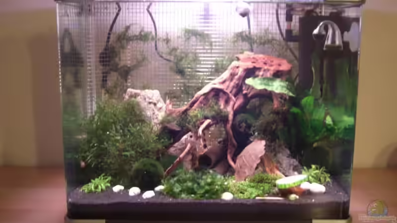 Aquarium Hauptansicht von Becken 12026 Aquarium Hauptansicht von Becken 12026