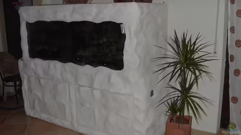 Aquarium Hauptansicht von Becken 1206 Aquarium Hauptansicht von Becken 1206