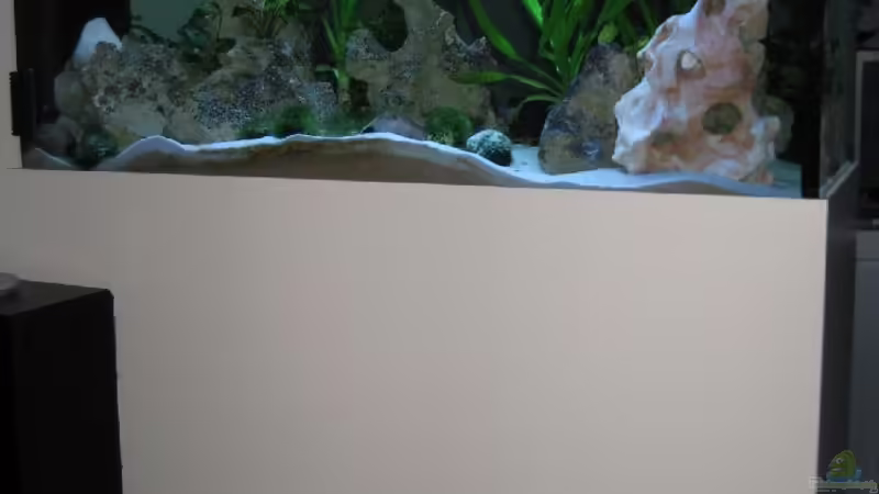 Aquarium Hauptansicht von Becken 12695 Aquarium Hauptansicht von Becken 12695