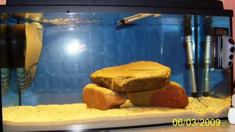 Aquarium Hauptansicht von Becken 12832 Aquarium Hauptansicht von Becken 12832