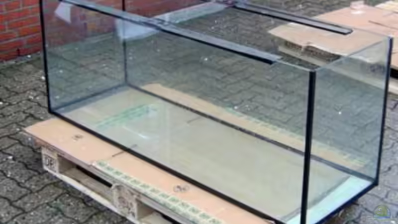 Aquarium Hauptansicht von Becken 13533 Aquarium Hauptansicht von Becken 13533