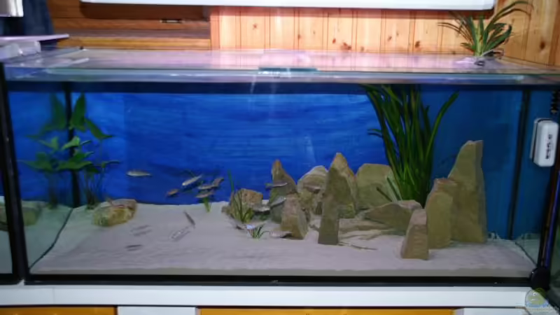 Aquarium Hauptansicht von Becken 1402 Aquarium Hauptansicht von Becken 1402